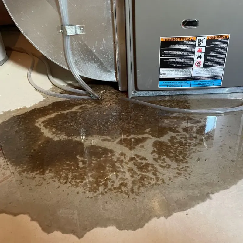 Pipe Burst and Leak Restoration in South Deerfield, MA